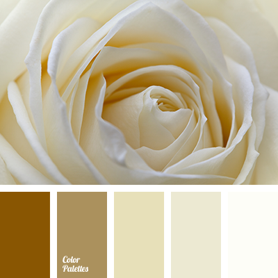 Cream color palette for wedding